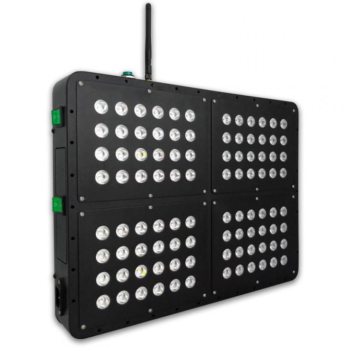 Kontrolki Wi-Fi LED rosną światła