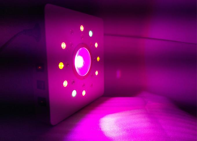 cob i high power led rosną światła