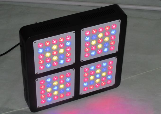 300w led rosną światła