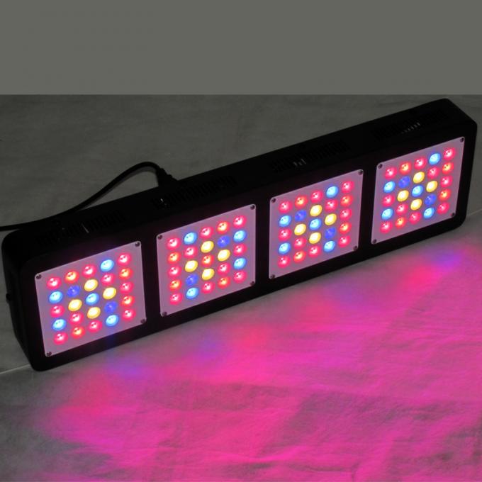 diody LED o wysokiej mocy rosną