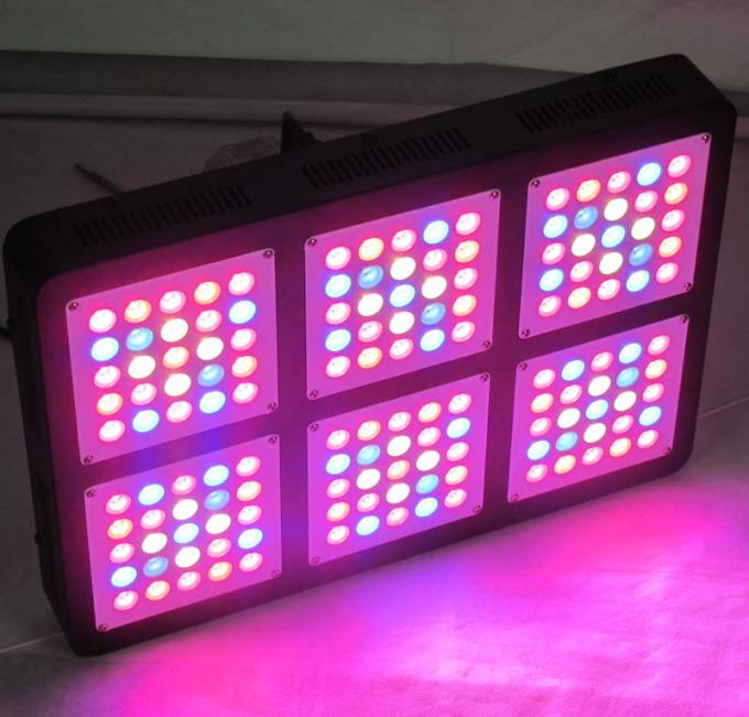 750w doprowadziły do ​​wzrostu światła