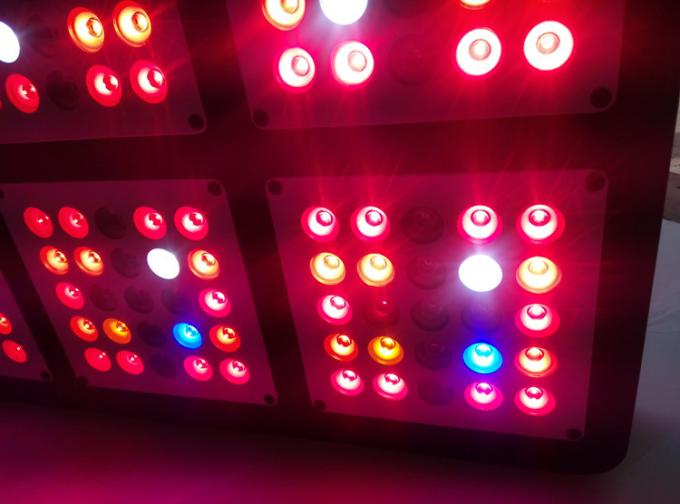kwiat led rosną światło
