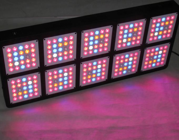led rosną światło