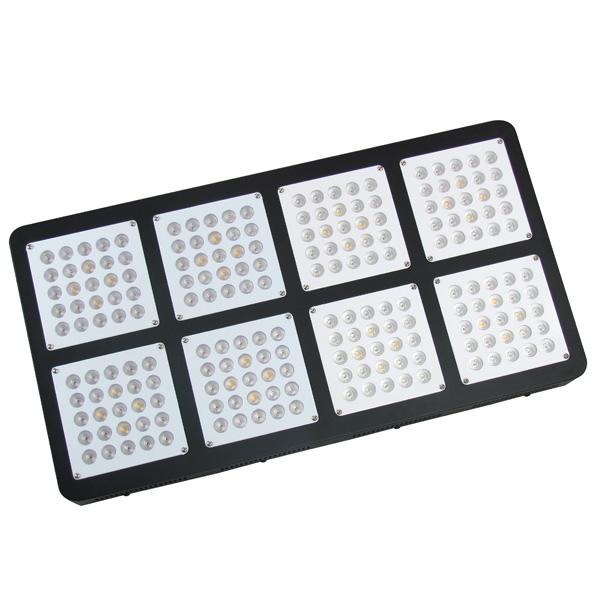 600w doprowadziły do ​​wzrostu światła
