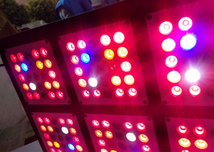 Bloom led rosną światła