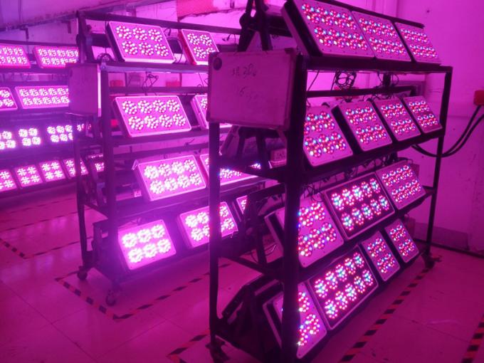 hodowca leśny apollo led rosną światła