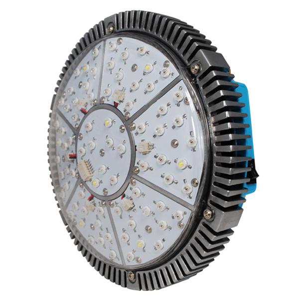 modułowe diody LED rosną światłem