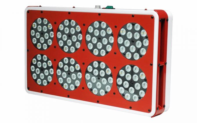 apollo led rosną światła
