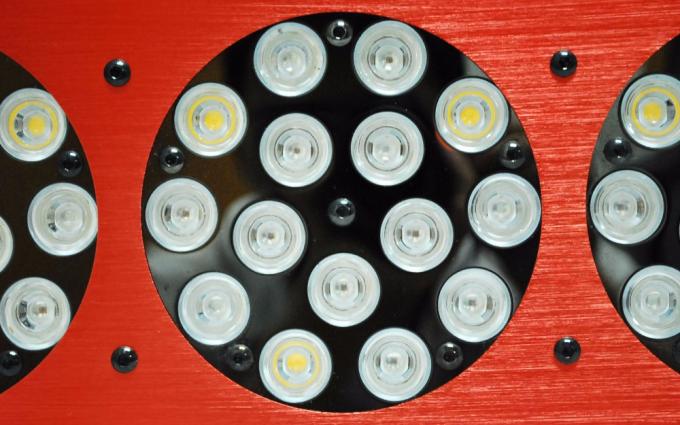 apollo led rosną światła