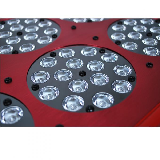 apollo led rosną światła