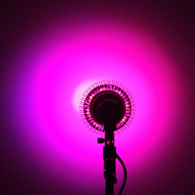 led light light par