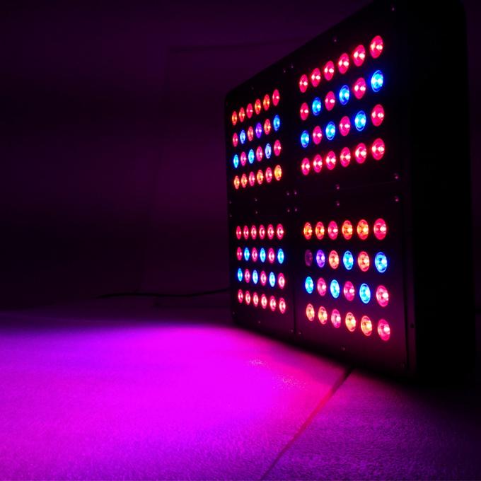 kwiat led rosną światło